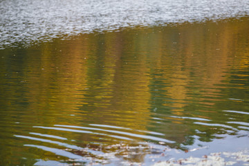 Autumn Color Reflection