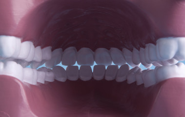Teeth inside of mouth