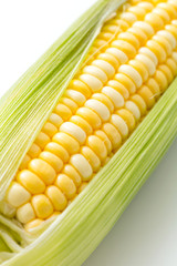 とうもろこし