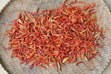 Dried red hot chilli peppers on bamboo weave basket
