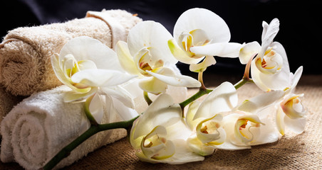 White orchid and towels on a table
