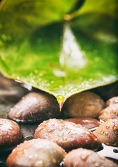 Pebbles in water background