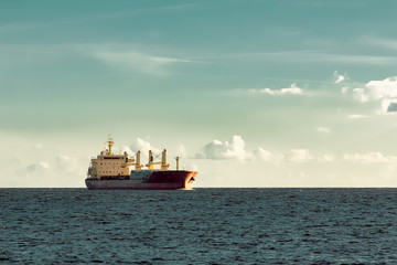 Fototapeta na wymiar Red cargo ship (bulk carrier) sailing in open sea