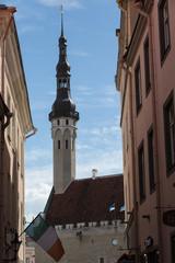 Fototapeta premium Tower of Tallinn's Town Hall