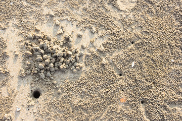 Footprints on horizontal landscape hole of Ocypode ceratophthalma crab on a sandy beach use for background