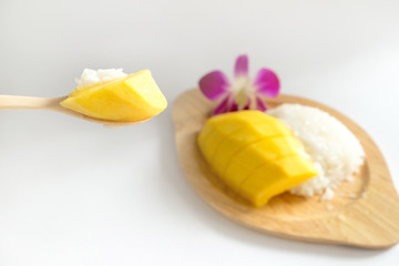 mango with sticky rice in coconut milk