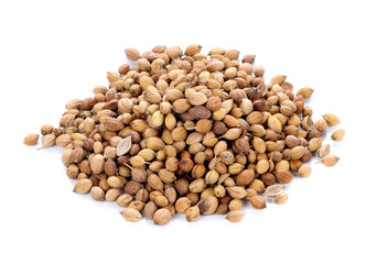coriander seed on white background