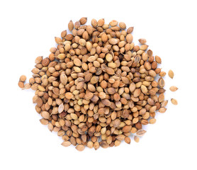 coriander seed on white background