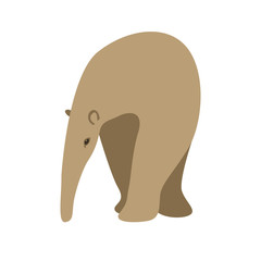 anteater vector illustration style Flat