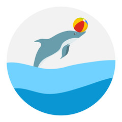 Dolphin plays with the ball