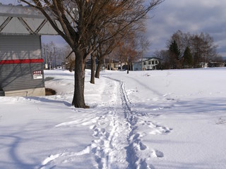 人が歩いた雪道