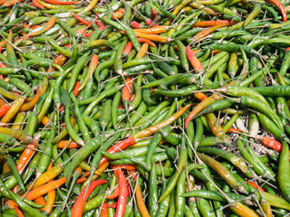 Green and red chili in organic farmer market