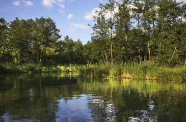 Fototapeta na wymiar Rospuda river near Augustow. Poland