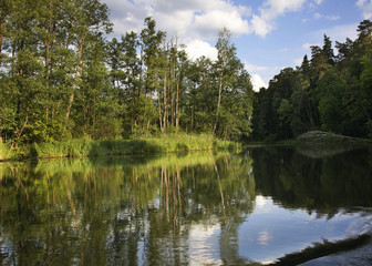 Obraz premium Rospuda river near Augustow. Poland