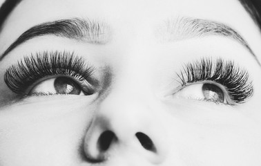 Artificial lashes. eyelash extension. Black and white photography