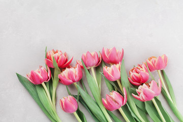 Pink tulip flowers for spring background top view in flat lay style. Greeting card for Woman or Mother Day.