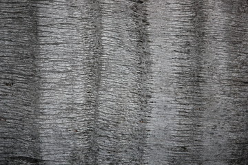 Close up palm tree bark texture