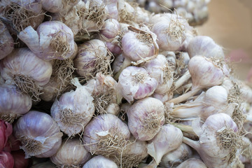 dry garlic in market for cooking, nature food