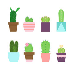 Set of cactus in pots. Indoor plants in flat style.