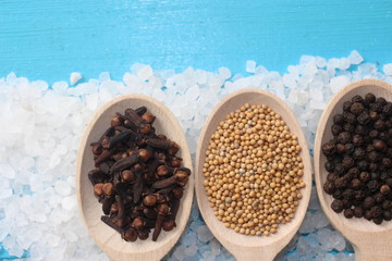 spices and herbs, spice, herb, pepper, garlic, mustard, clove, allspice, nutmeg, anise, anise star seed, chili, dried chilis, bay leaf, cinnamon, 