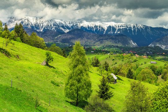 Summer landscape with snowy mountains near Brasov, Transylvania, Romania, Europe