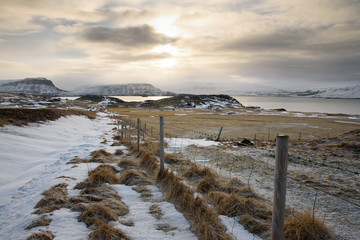 Icelandic landscape