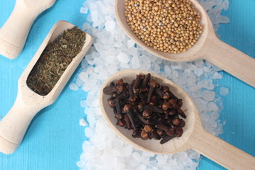 spices and herbs, spice, herb, pepper, garlic, mustard, clove, allspice, nutmeg, anise, anise star seed, chili, dried chilis, bay leaf, cinnamon, 