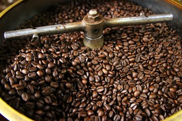 Closeup of roasted coffee beans after roasting in a drum type coffee roaster 1/2