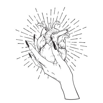 Human heart in graceful female hand isolated. Sticker, print or blackwork tattoo hand drawn vector illustration