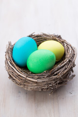 Easter eggs in the nest. Spring discount card.
