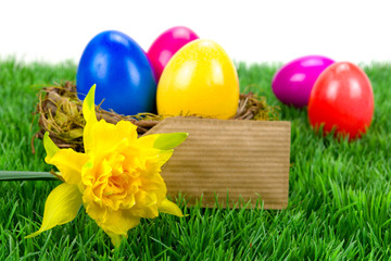 Osternest mit Schild