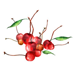 A watercolor drawing of a red cherry berry on a white isolated background. Manual graphics, use for various design and design. Postcard, illustration, logo.