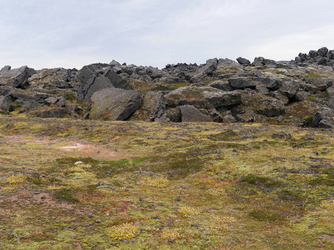 Lavafeld am aktiven Vulkan Leirhnj&uacute;kur in Island