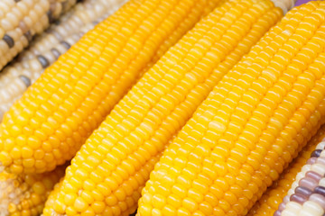 Yellow corns 