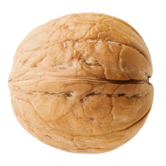 Walnut closeup on white background, isolated