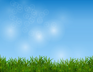 Fototapeta na wymiar Green Grass Isolated on Sparkling Blue Sky Background