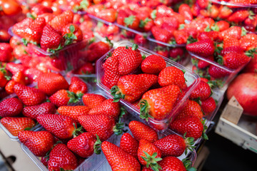 Fresh Strawberry Market