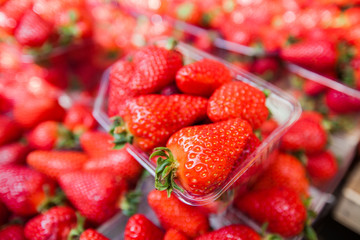 Fresh Strawberry Market