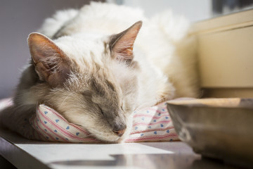 Endlich wieder Sonne