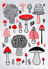 Mushrooms illustration with leaves on the grey background