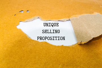 Unique selling proposition concept 