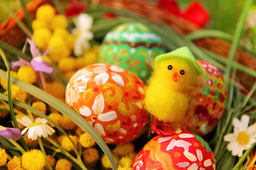 Hand painted colorful Easter eggs, cute little easter chicken, bright yellow mimosa branch and wildflowers in the wicker homemade basket