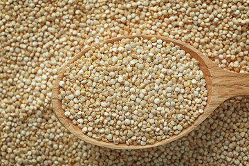 Organic quinoa seeds with spoon, closeup