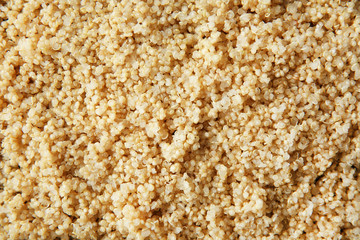 Boiled sprouted organic white quinoa grains, closeup