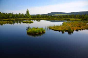 Fototapeta na wymiar The view of the lake with islands between forests under blue sky in Sumava in Czech Republic