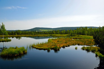 The view of the lake with islands between forests under blue sky in Sumava in Czech Republic