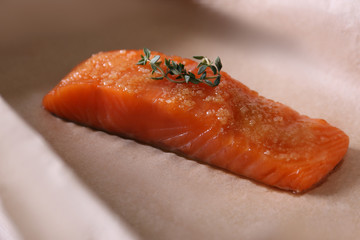 Freshly salted salmon fillet on baking parchment