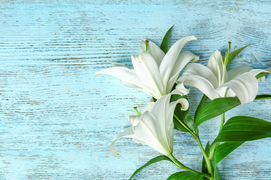 Fototapeta Beautiful white lilies on color wooden background