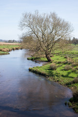 Landscape - English Village - Torbay, Devon, UK