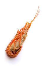 Langouste